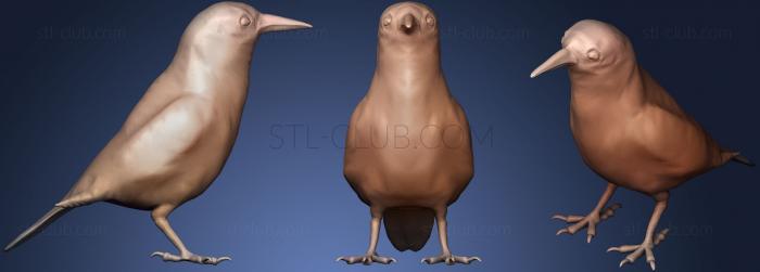 3D model Eurasian nutcracker (STL)